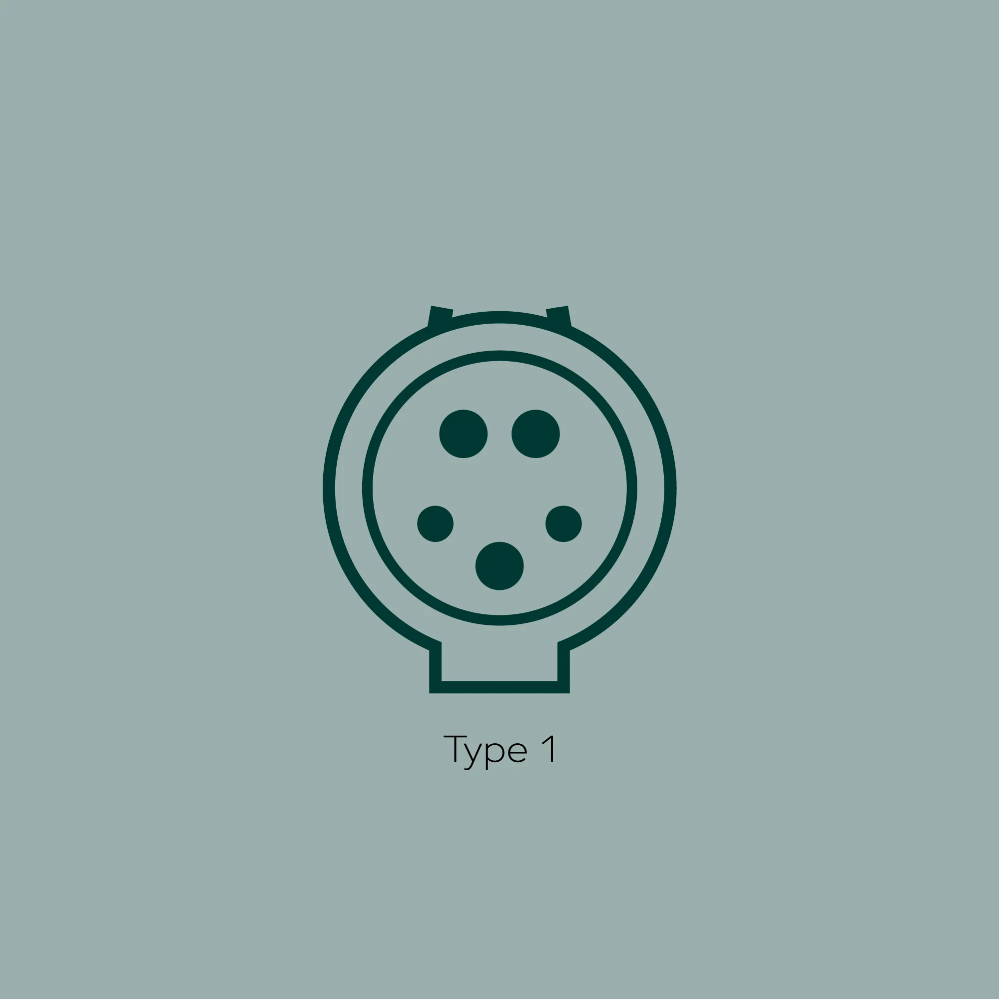 Stiktype Type 1