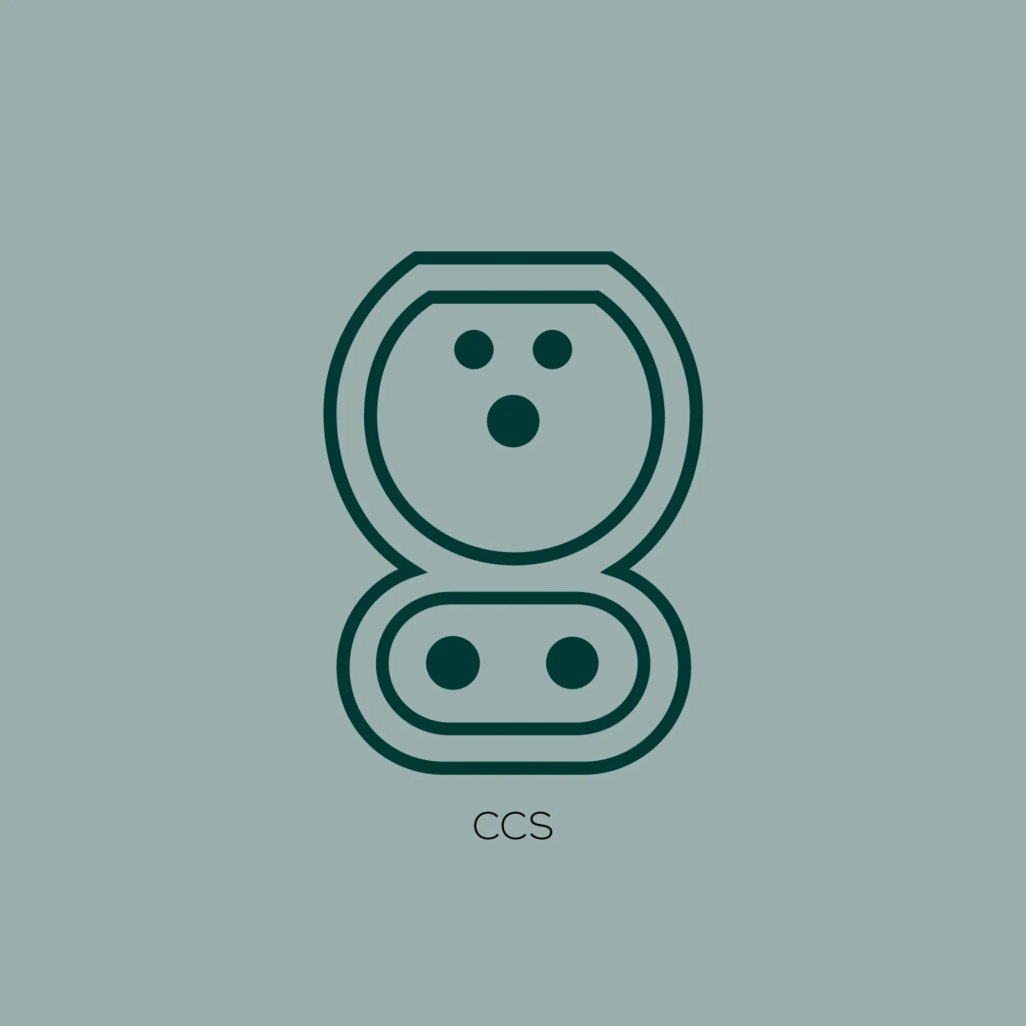 Illustration af CCS stik